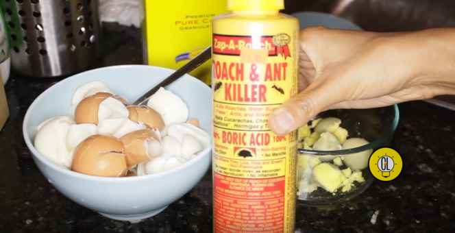 best home remedy to get rid of cockroaches