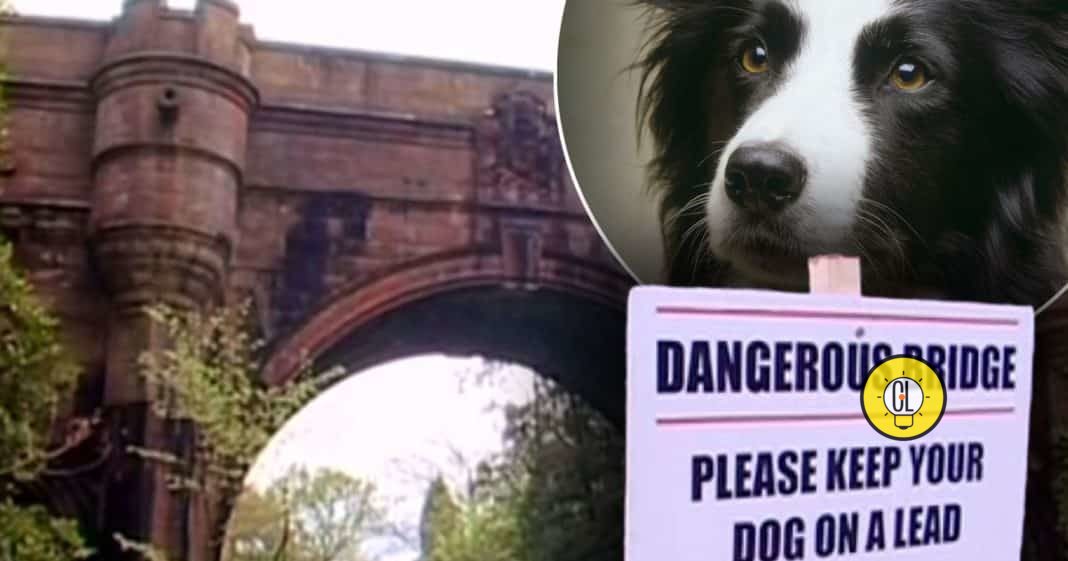 overtoun dog suicide bridge