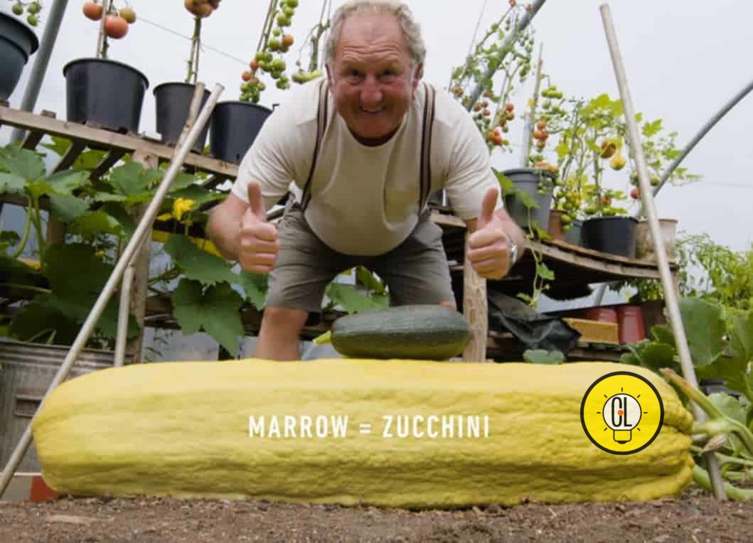 man grows giant vegetables