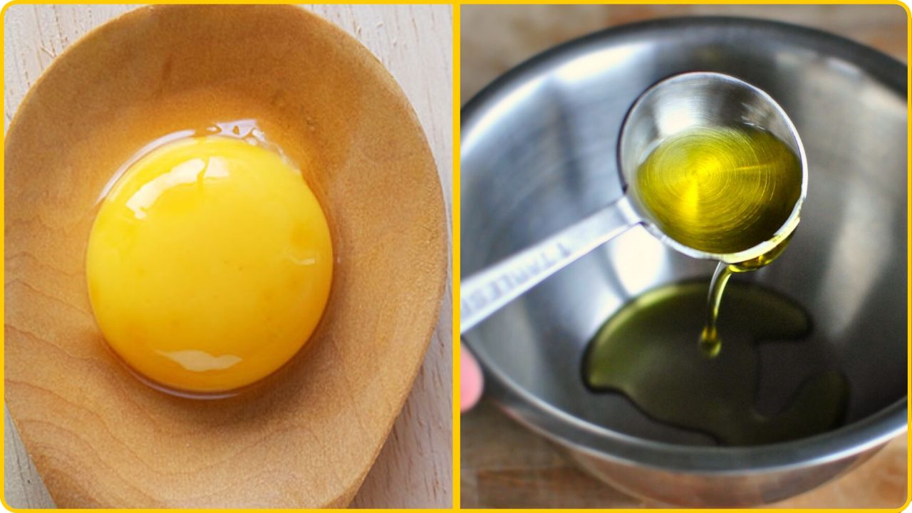 egg yolk olive oil hair growth recipe