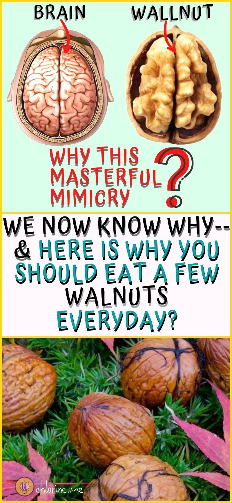 amazing health benefits of walnuts