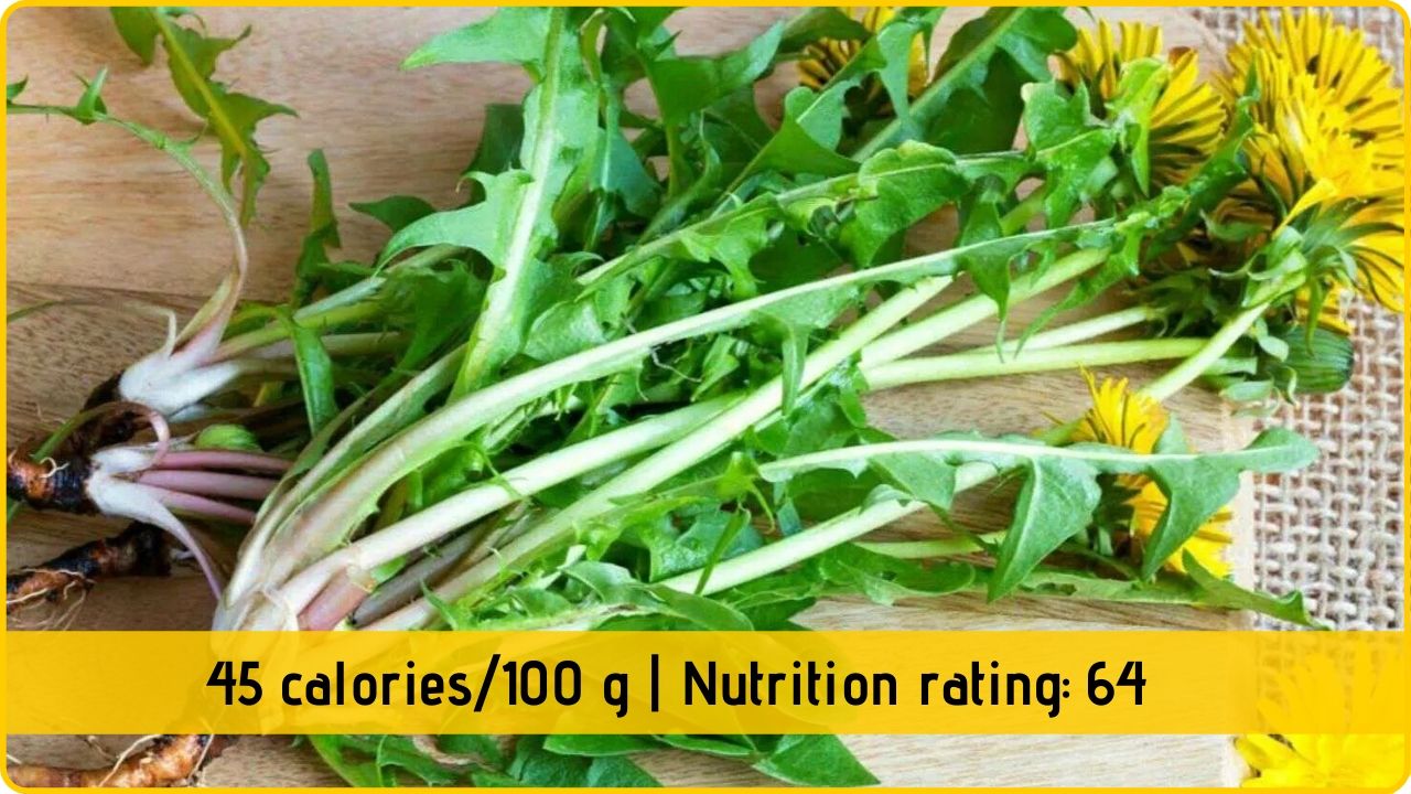 dandelion leaf nutrition health benefits