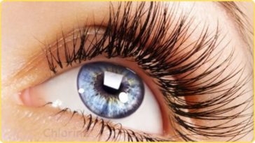 how to get longer thicker eyelashes naturally