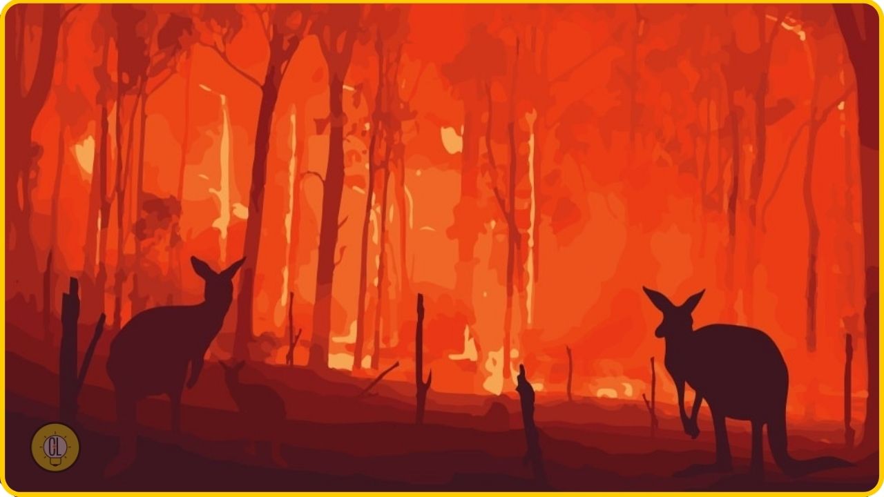 disasters in 2020 australia wildfires