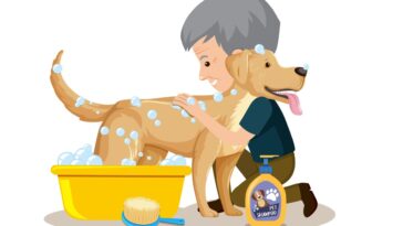 Homemade Dog Shampoo A Great Cosmetic For Your Pooch