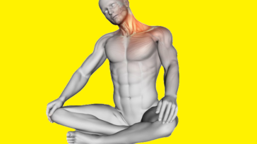 12 Great Neck Exercises Strengthen Neck and Nape Muscles