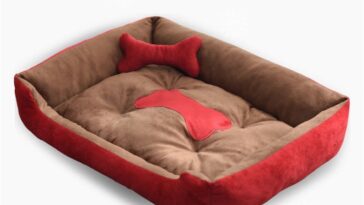 best dog beds 2021 top dog products