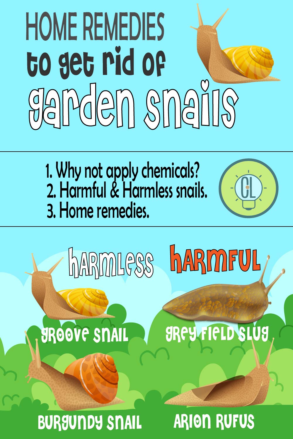HOW TO GET RID OF GARDEN SNAILS HOME REMEDIES2-01