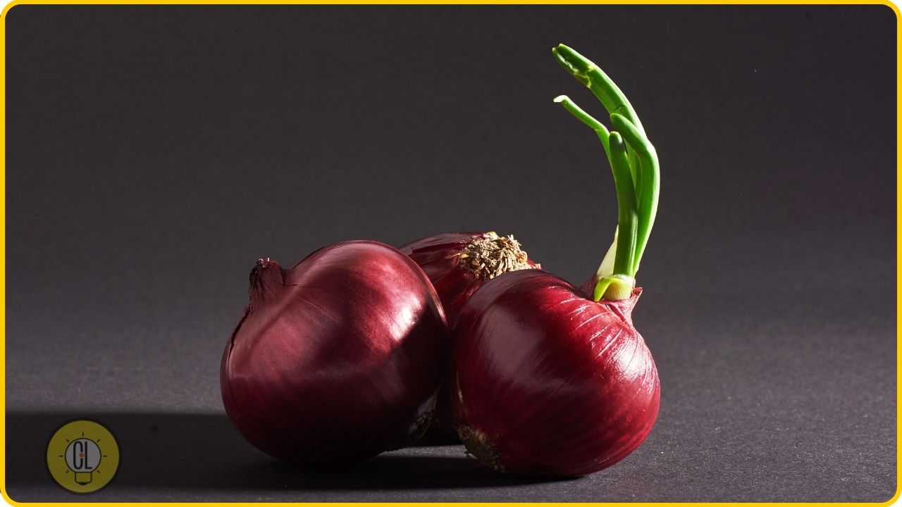 grow onion at home