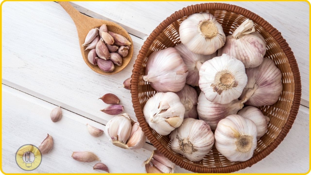 garlic nutritional facts