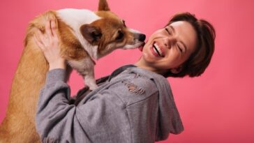 Why Your Dog Licks Your Face Here Are The 6 Reasons Why