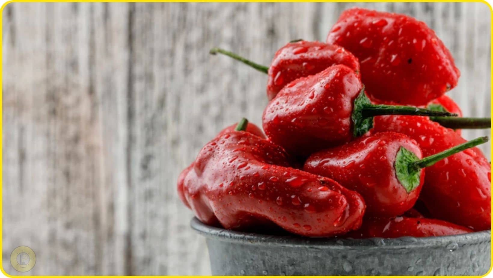 Health Benefits of Red Bell Peppers